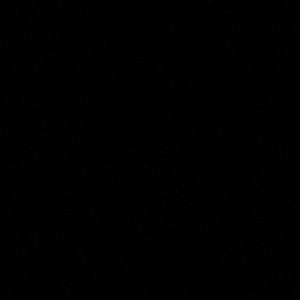 Meet your Posher, Jaelyn